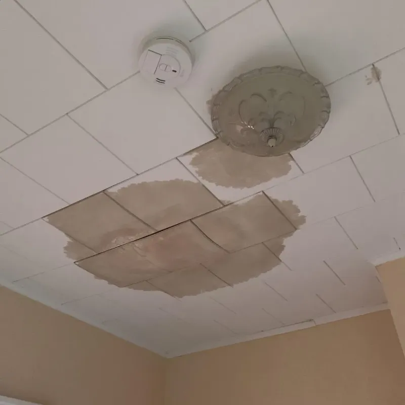 Ceiling Water Damage Repair in Viroqua, WI