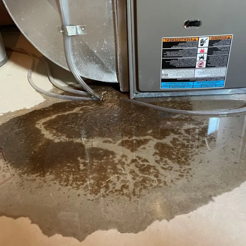 Pipe Burst and Leak Restoration in Viroqua, WI