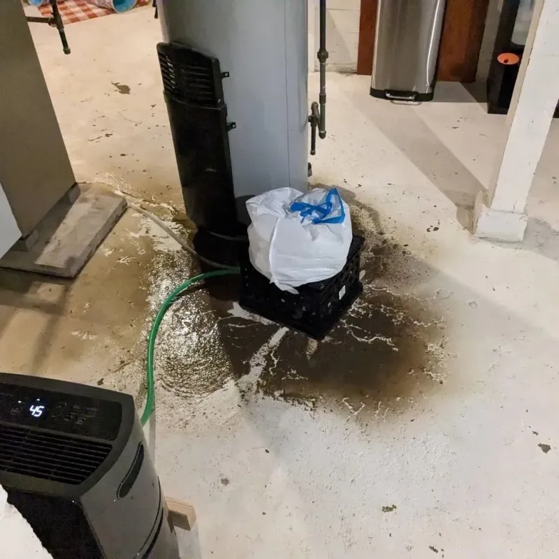 Sewage Backup Cleanup Service in Viroqua, WI
